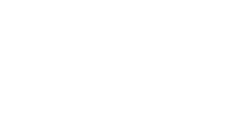 Everest logo